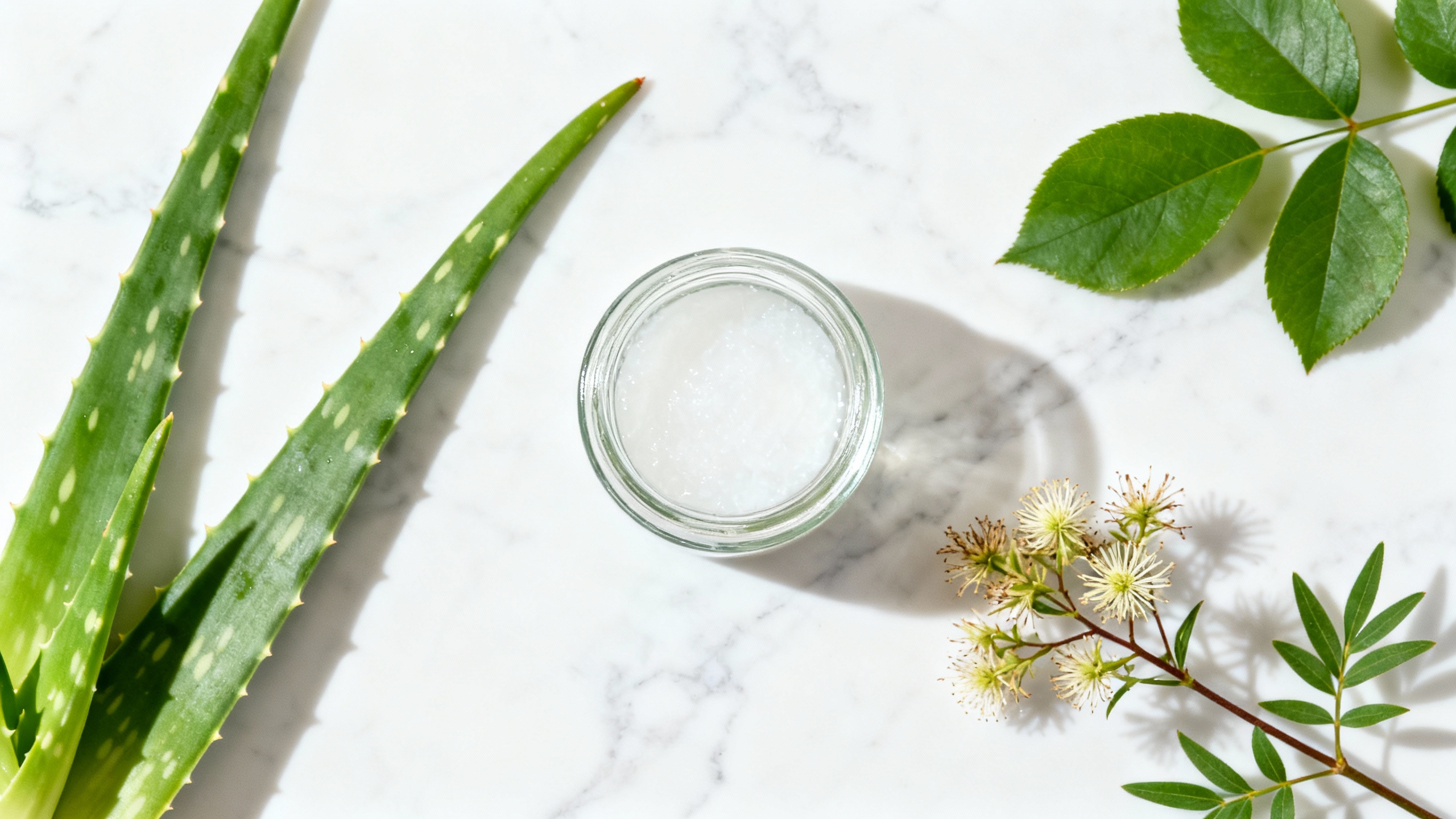 Featured image for Natural Remedies for Treating Hemorrhoids